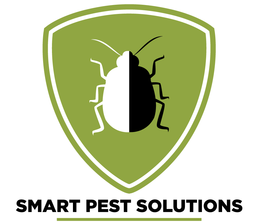 Smart pest solution icon