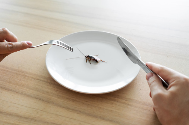 food pest control